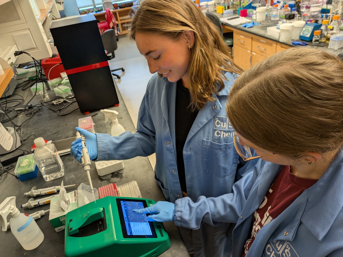 Lea Day (left) and Kara Hunter work in the Sukenik lab on campus. Photo: Syracuse University
