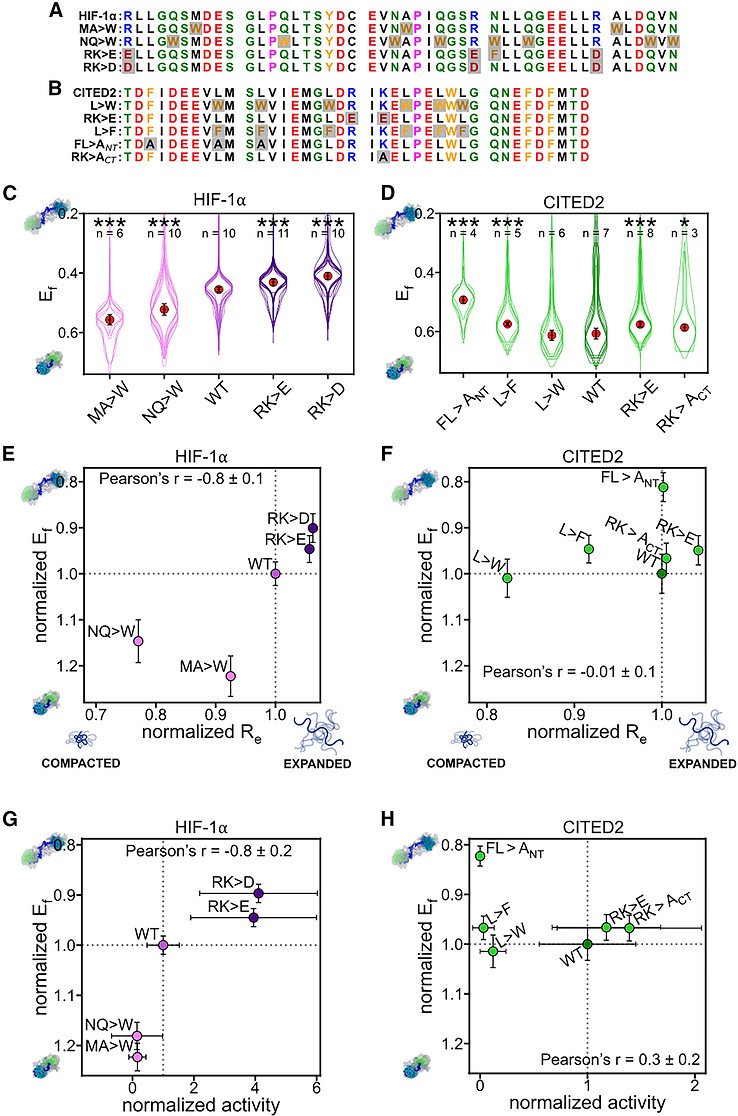 Figure from Correlating disordered activation domain ensembles with gene expression levels