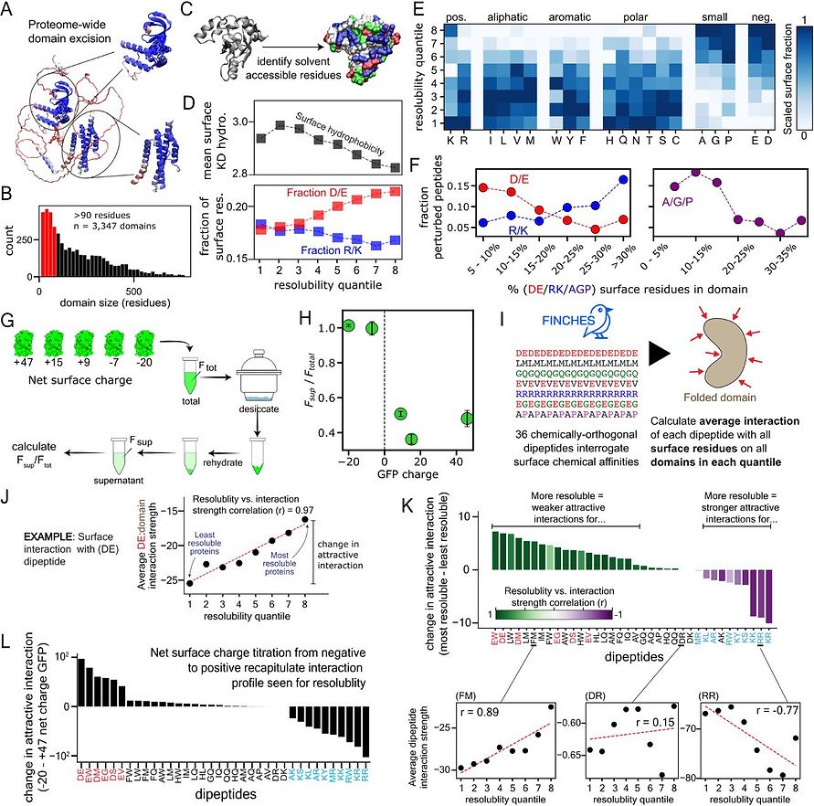 Figure from Protein surface chemistry encodes an adaptive tolerance to desiccation