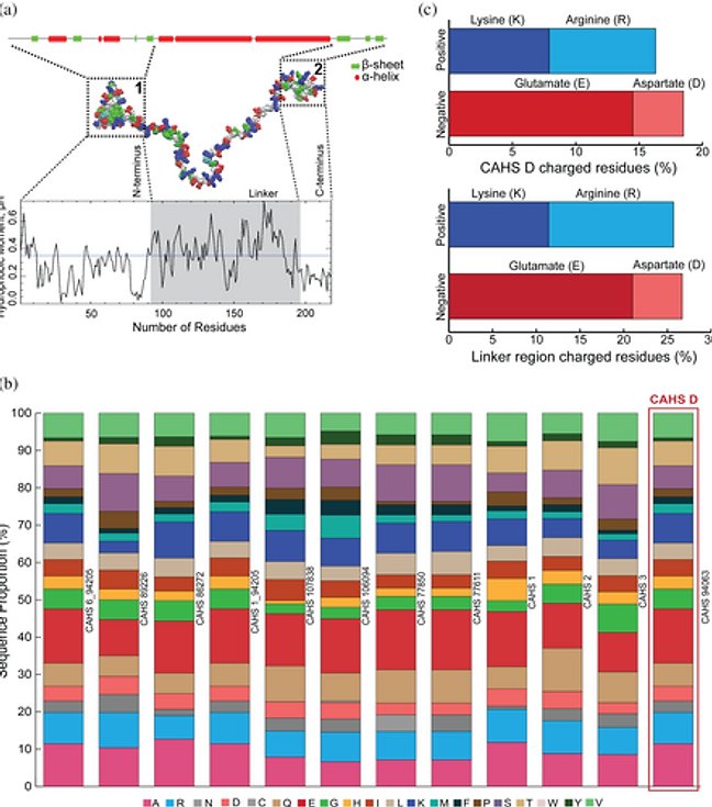 Figure from Helicity of a tardigrade disordered protein contributes to its protective function during desiccation