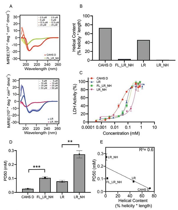 Figure from Helicity of a tardigrade disordered protein promotes desiccation tolerance