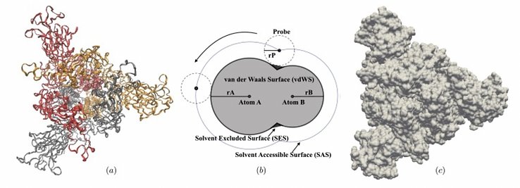 Figure from Computational modelling of protein conformational changes-application to the opening SARS-CoV-2 spike