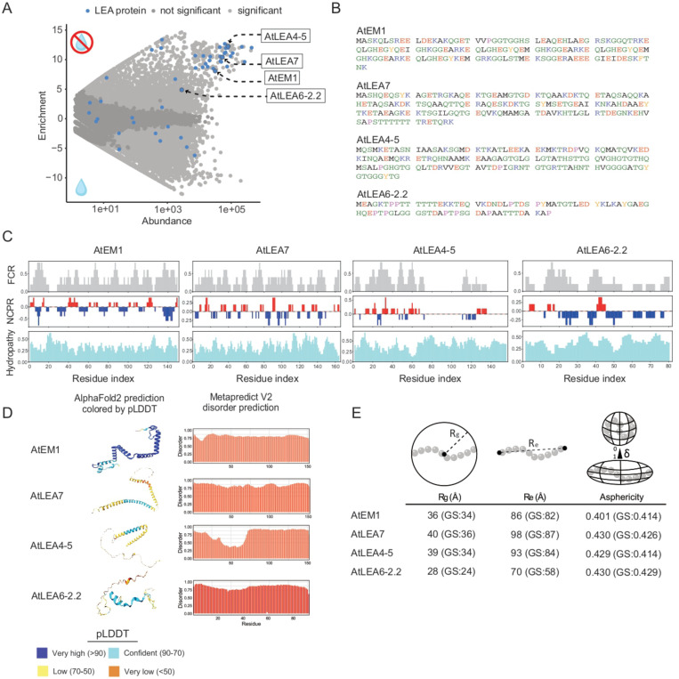 Figure from Functional diversity of Arabidopsis late embryogenesis abundant proteins in response to changes in the physicochemical environment